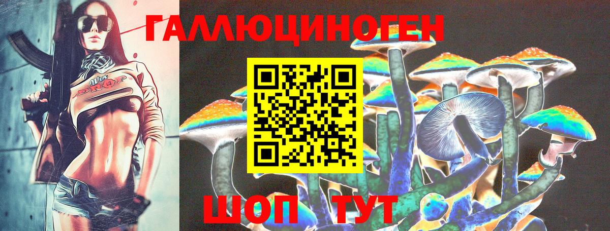 Зима  Галлюциногенные грибы прущие грибы  Вход с VPN 