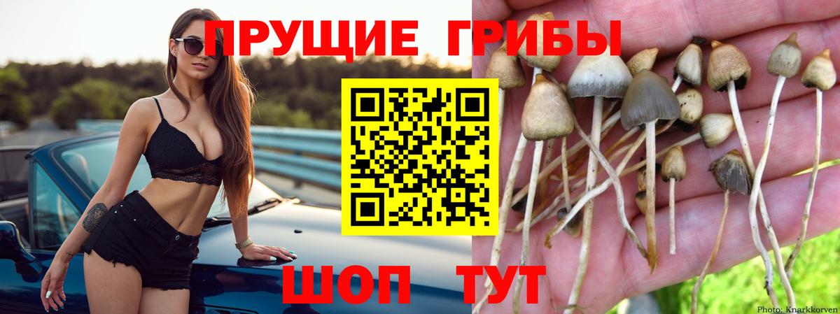 Галлюциногенные грибы мицелий Зима